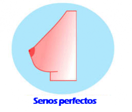 senos perfectos